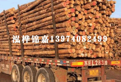 官方：蘇比門迪戰(zhàn)森林轟出的世界波當(dāng)選英超9月最佳進(jìn)球